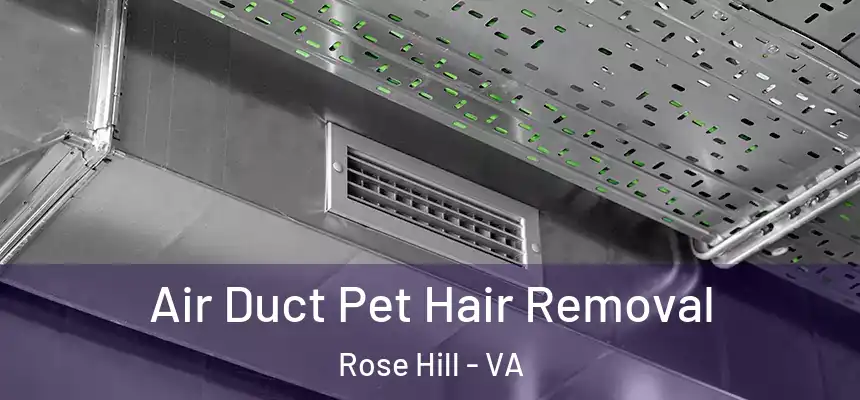 Air Duct Pet Hair Removal Rose Hill - VA