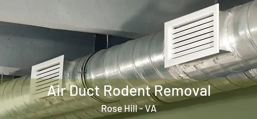  Air Duct Rodent Removal Rose Hill - VA
