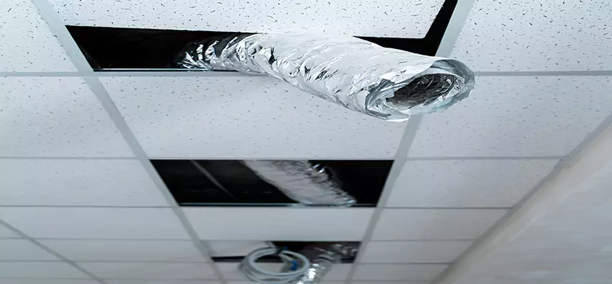 Our Air Duct Pet Hair Removal Services in Rose Hill, VA