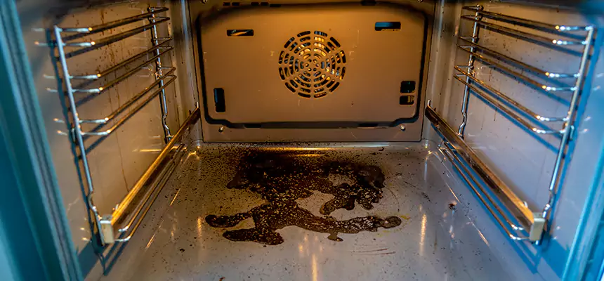 Our Dryer Vent Mold Cleaning Services in Rose Hill, VA