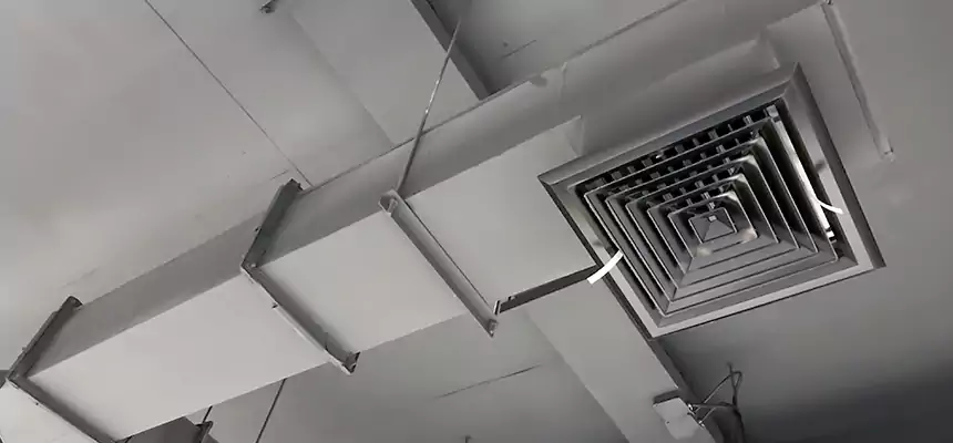 Our Rodent Droppings In Vents Services in Rose Hill, VA