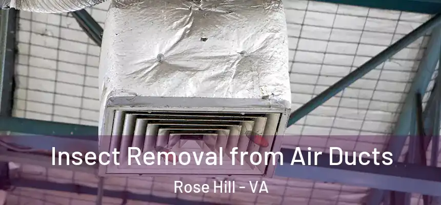 Insect Removal from Air Ducts Rose Hill - VA