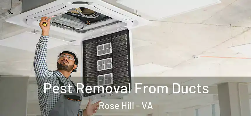  Pest Removal From Ducts Rose Hill - VA