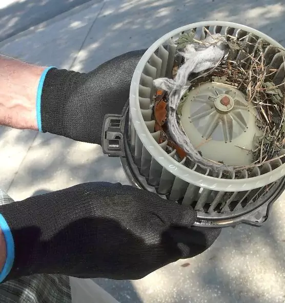 About Air Duct Rat Removal in Rose Hill, VA