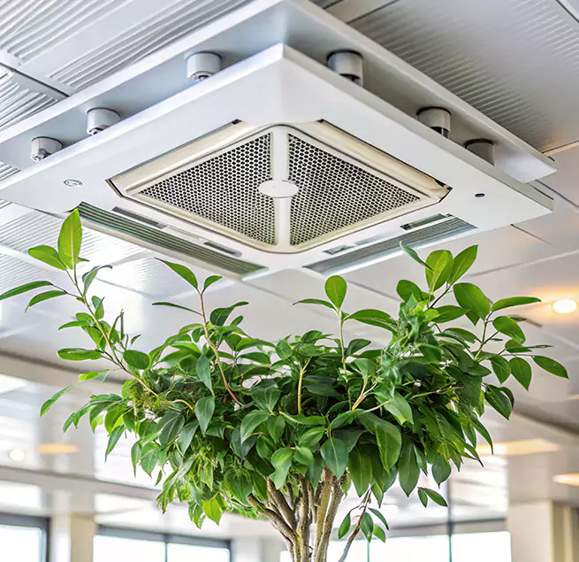 Why Homeowners & Businesses Trust Us in Rose Hill, VA?