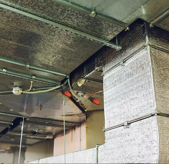 Why Homeowners & Businesses Trust Us Rose Hill, VA?